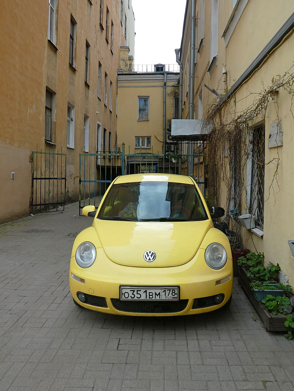 Volkswagen New Beetle