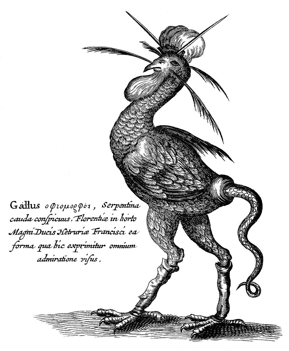 Cocatrix