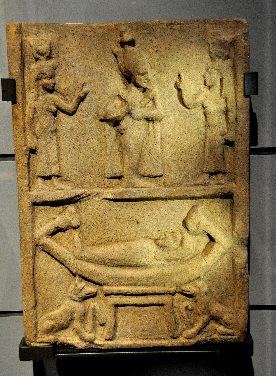 Nephtys