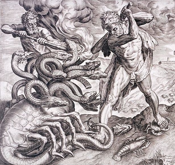 Hydra