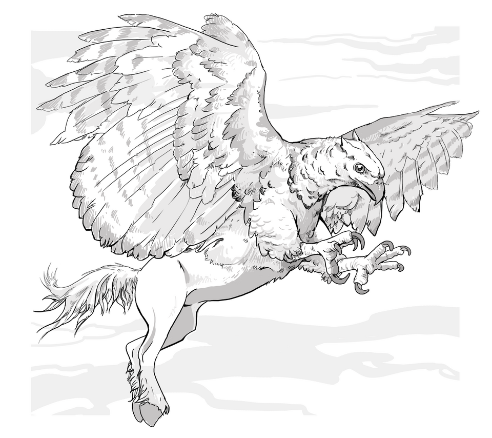 Hippogriffe