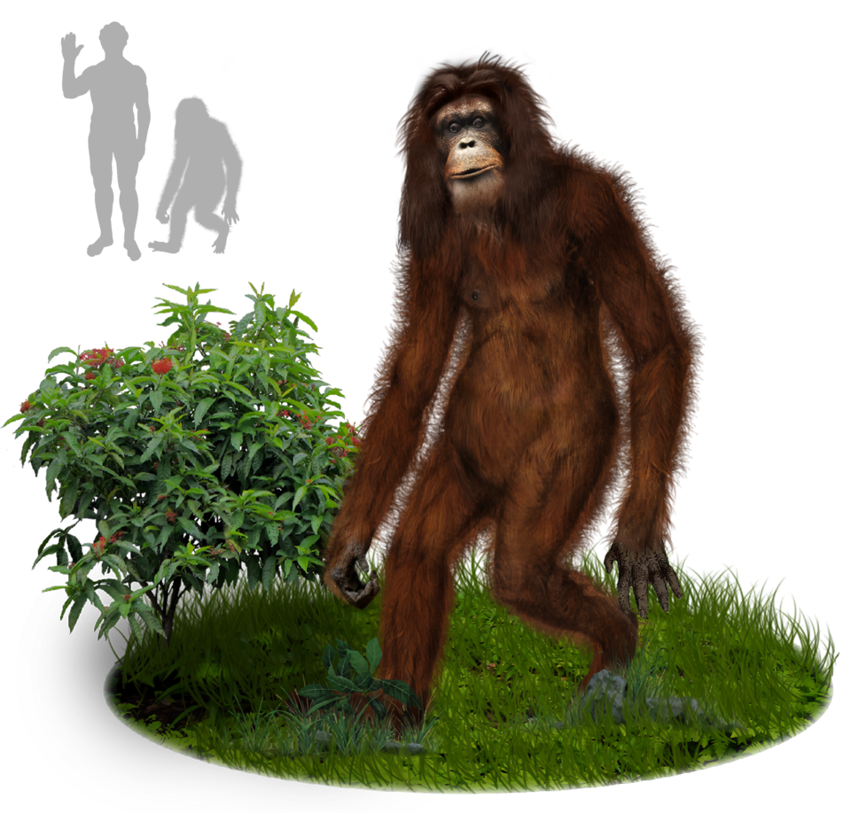 Orang pendek
