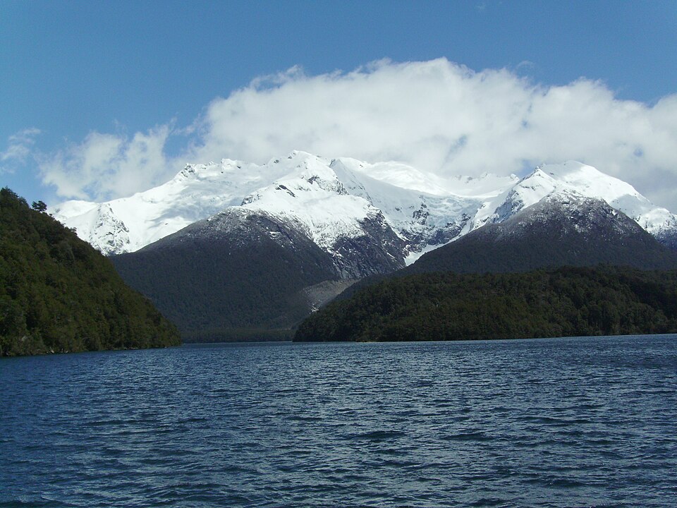 Argentine