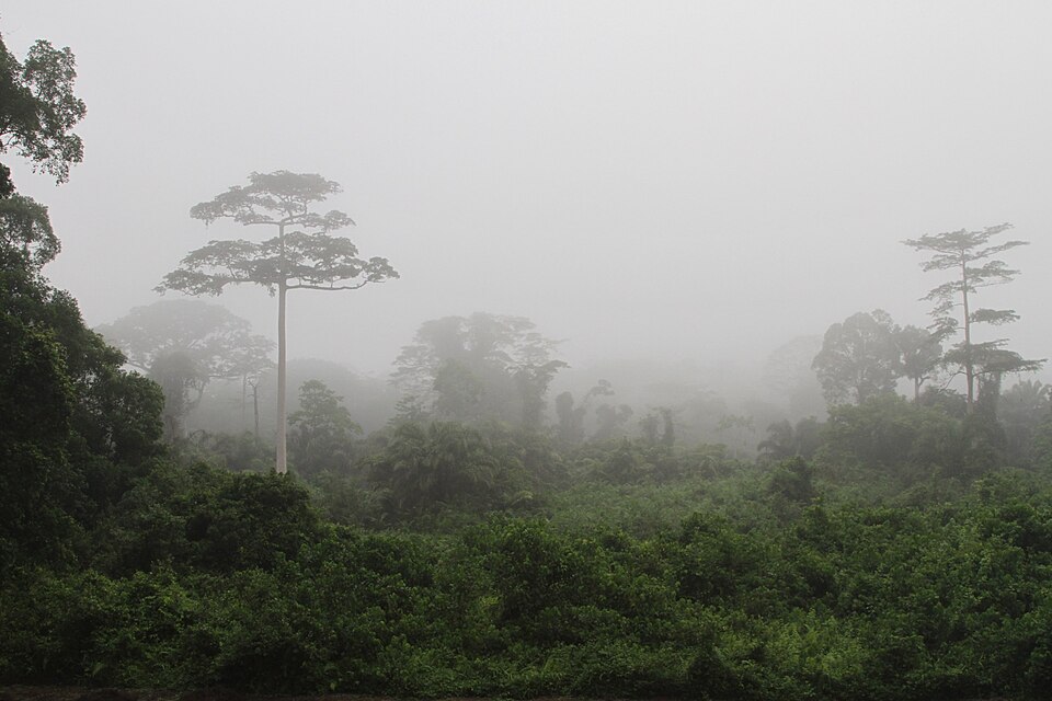 Côte d'Ivoire