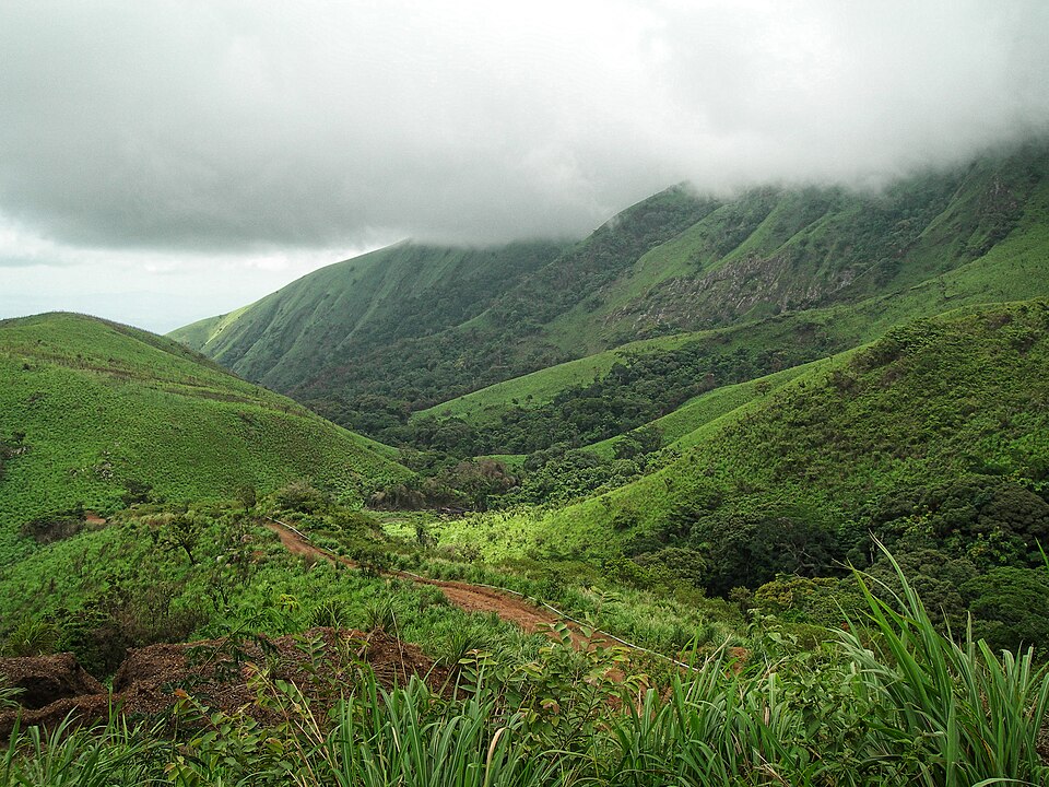 Guinée