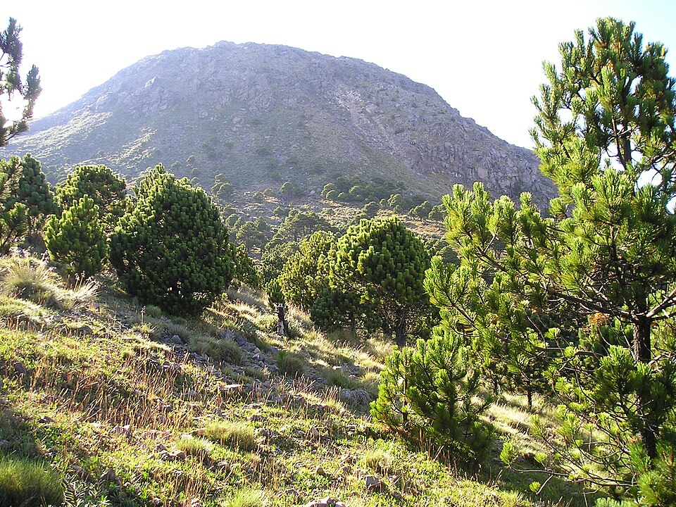 Guatemala
