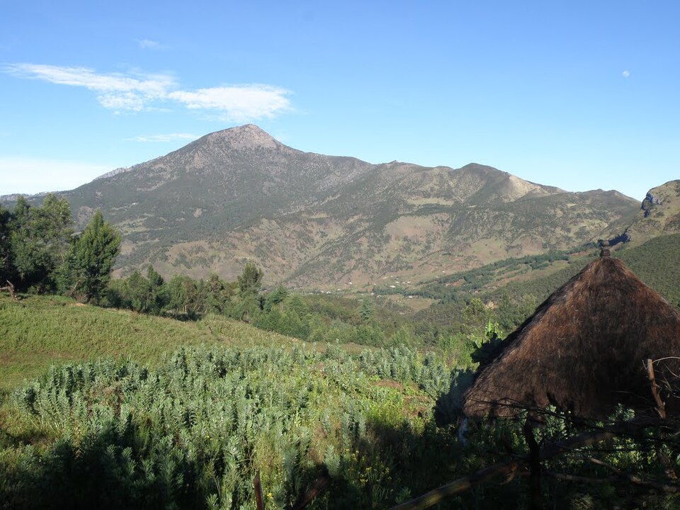 Timor oriental