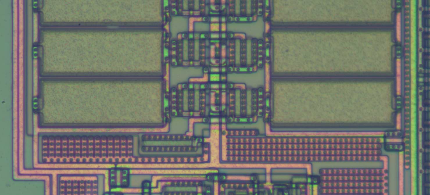 SCP-003 · Biological Motherboard