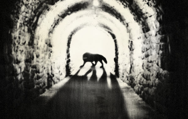SCP-023 · Black Shuck