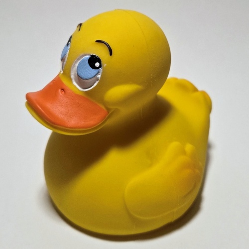 SCP-1356 · Rubber Ducky