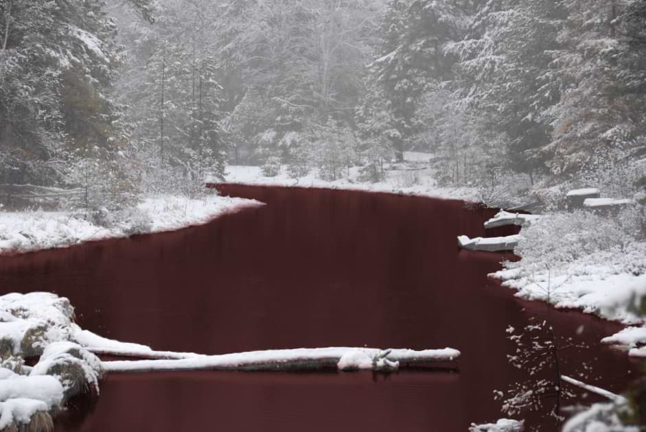 SCP-354 · The Red Pool