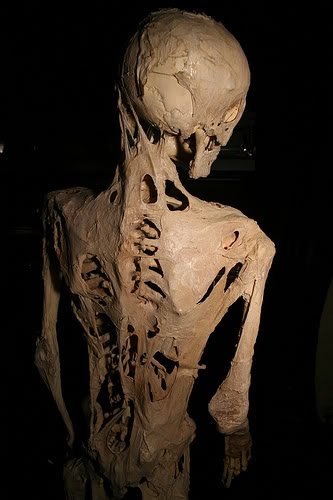 SCP-439 · Bone Hive