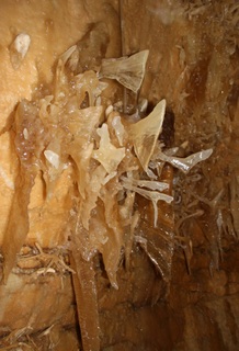 SCP-553 · Crystalline Butterflies