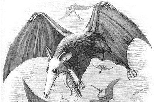 SCP-870 · The Maybe There Monsters
