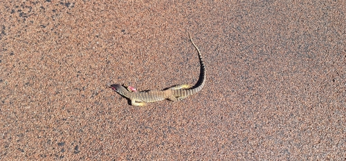Sand Monitor